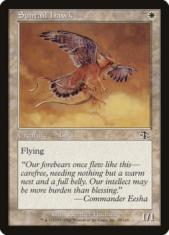Image for Suntail Hawk (28) [Judgment]