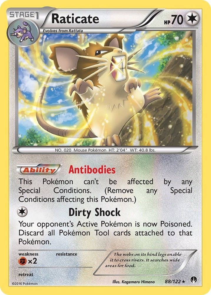 Image for Raticate (88/122) [XY - BREAKpoint]