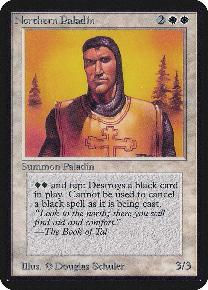 Image for Northern Paladin [Alpha Edition]