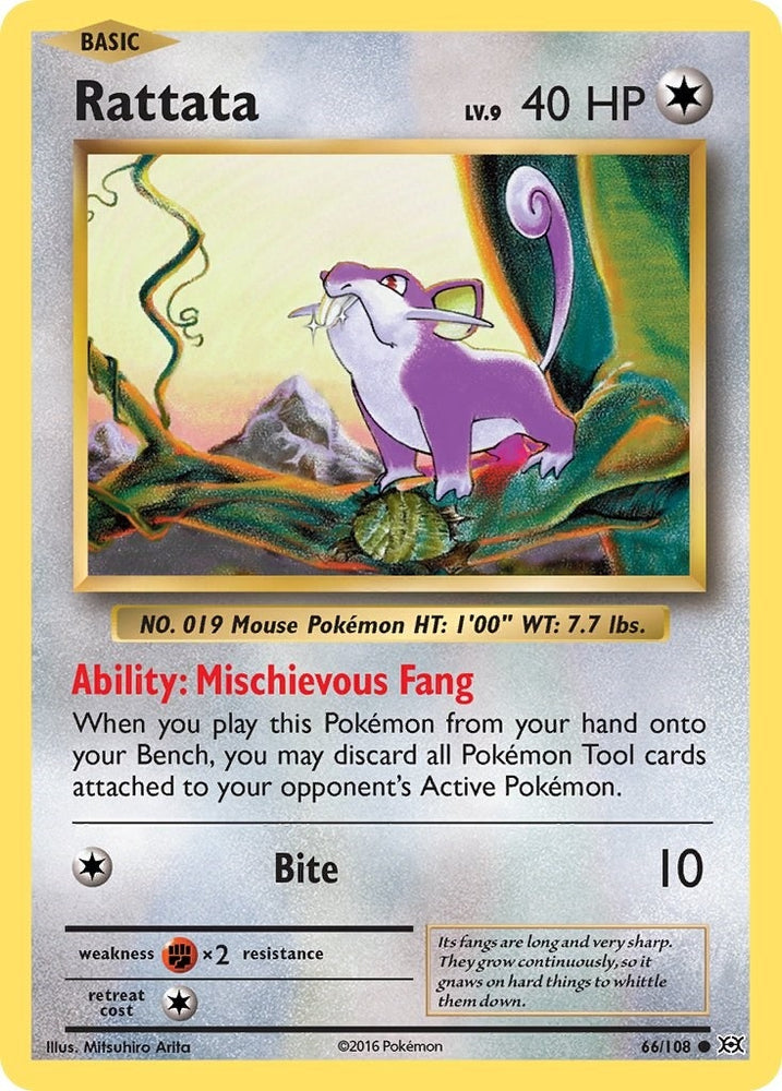 Image for Rattata (66/108) [XY - Evolutions]