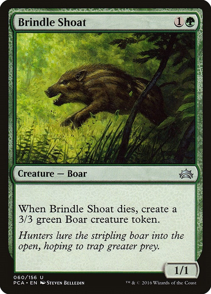 Image for Brindle Shoat (60) [Planechase Anthology]