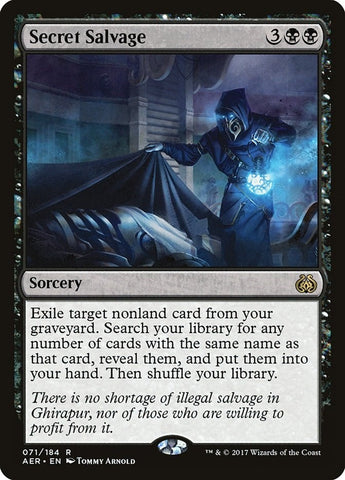 Image for Secret Salvage (71) (AER)