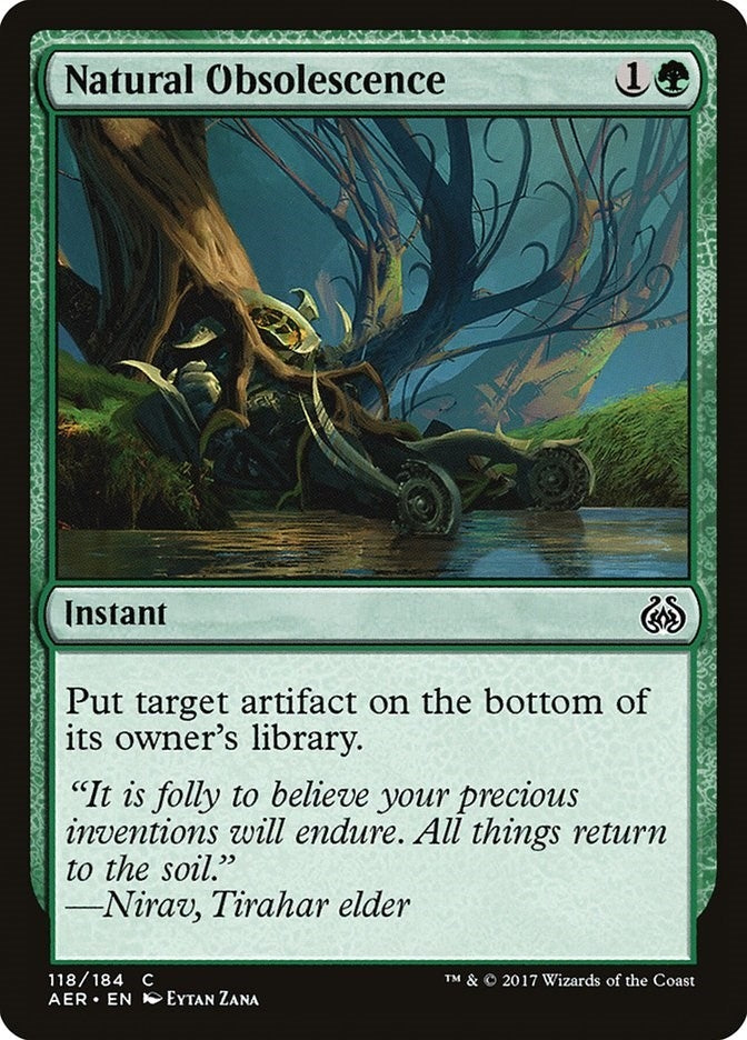 Image for Natural Obsolescence (118) (AER)