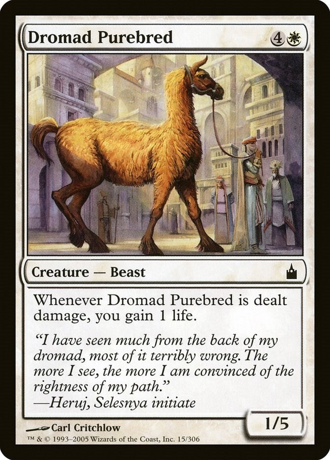 Image for Dromad Purebred (15) [Ravnica: City of Guilds]