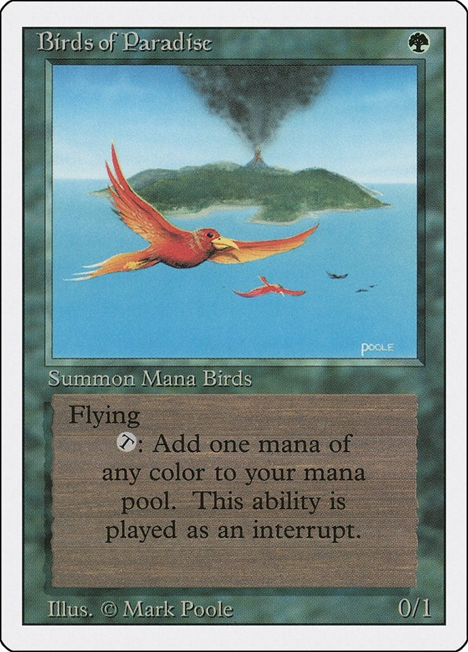 Image for Birds of Paradise [Revised Edition]