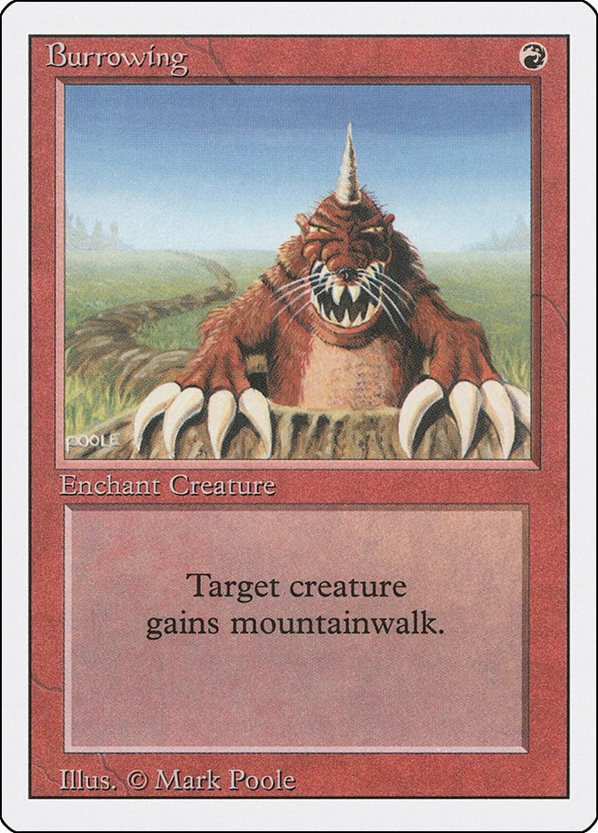 Image for Burrowing [Revised Edition]