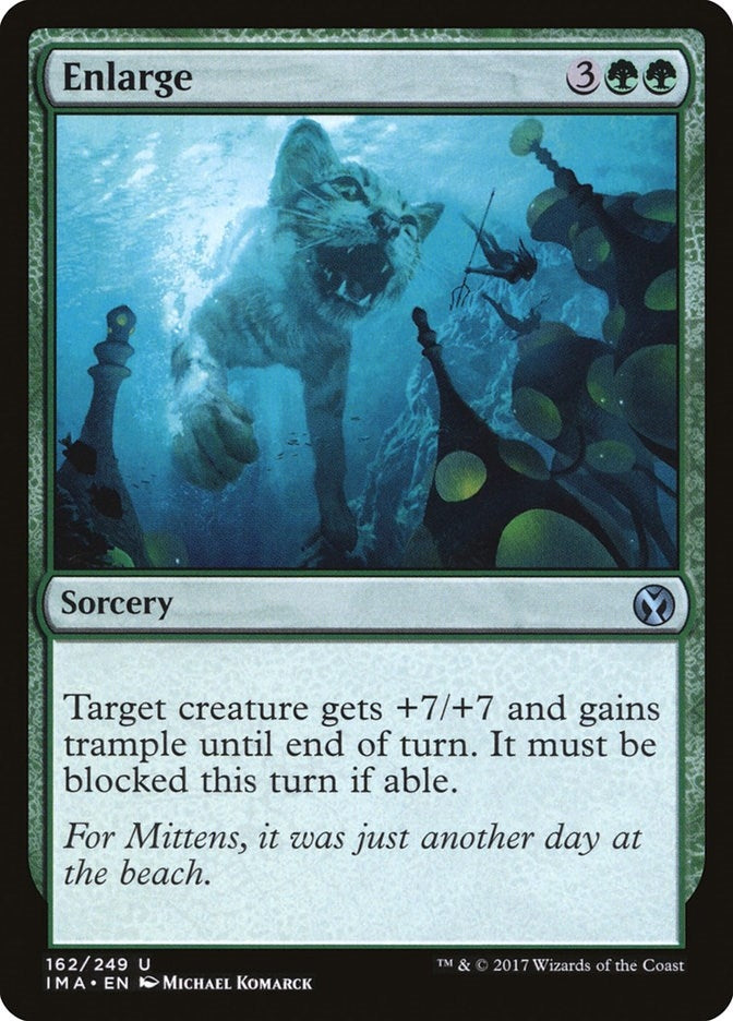 Image for Enlarge (162) [Iconic Masters]