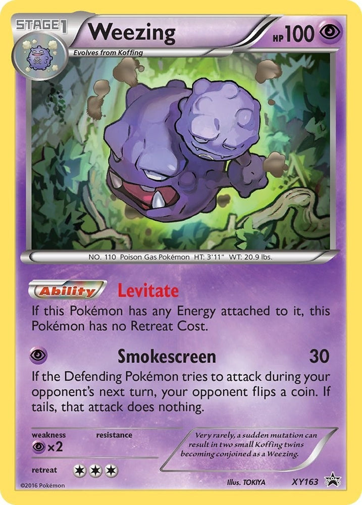 Image for Weezing - XY163 (XY163) [XY Promos]