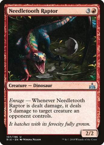 Image for Needletooth Raptor (107) [Rivals of Ixalan]