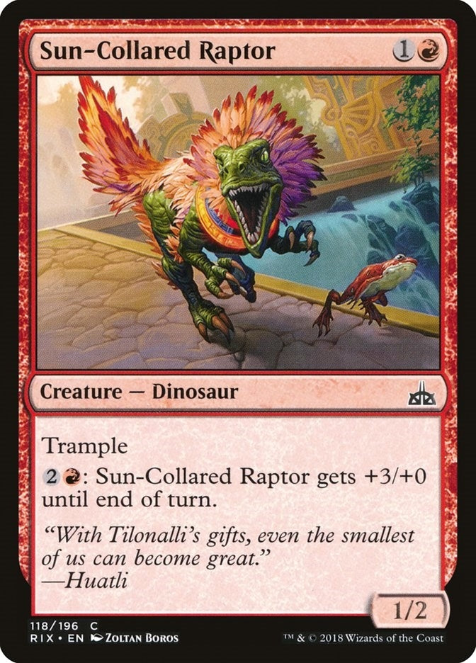 Image for Sun-Collared Raptor (118) [Rivals of Ixalan]