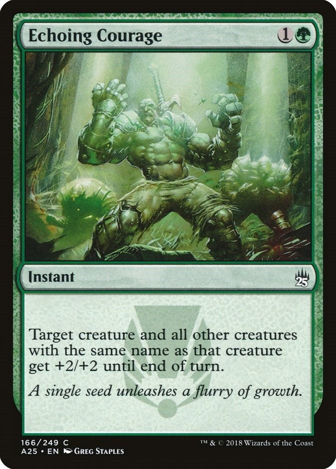 Image for Echoing Courage (166) [Masters 25]