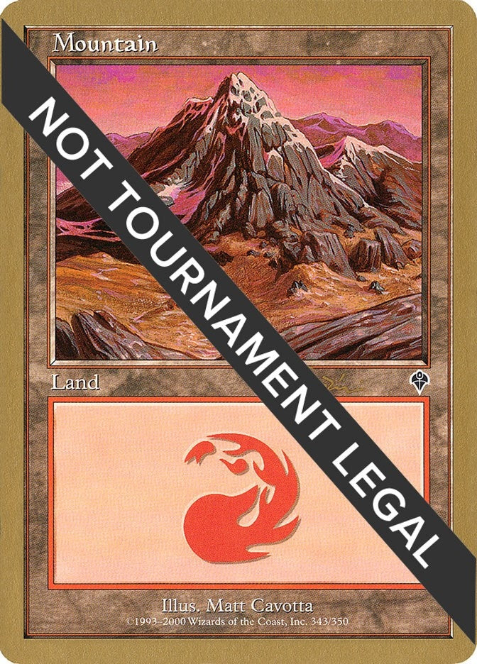 Image for Mountain (343) - 2001 Jan Tomcani (INV) [World Championship Decks]
