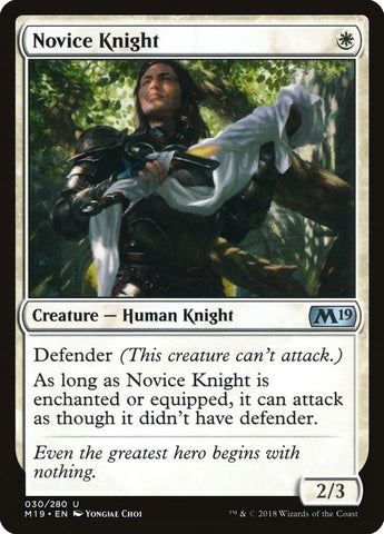 Image for Novice Knight (30) [Core Set 2019]