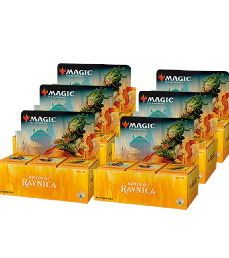 Image for Guilds of Ravnica - Booster Box Case [Guilds of Ravnica]