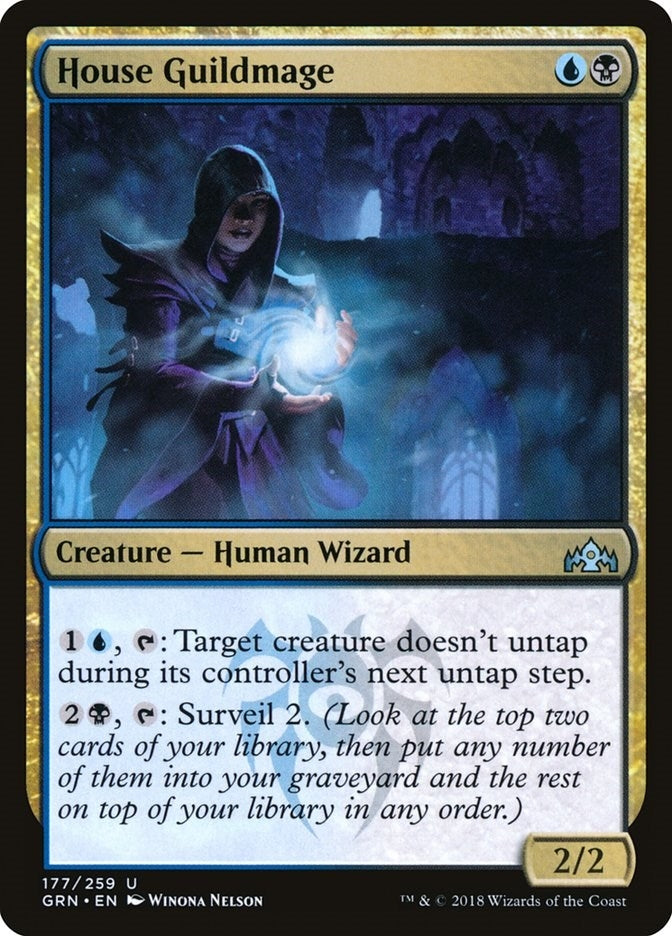 Image for House Guildmage (177) [Guilds of Ravnica]