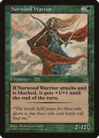 Image for Norwood Warrior [Portal Second Age]