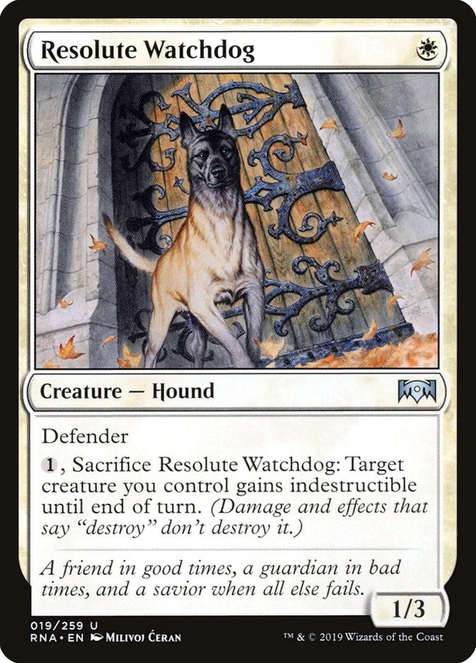 Image for Resolute Watchdog (19) [Ravnica Allegiance]