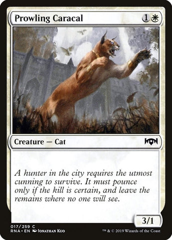 Image for Prowling Caracal (17) - Magic: The Gathering