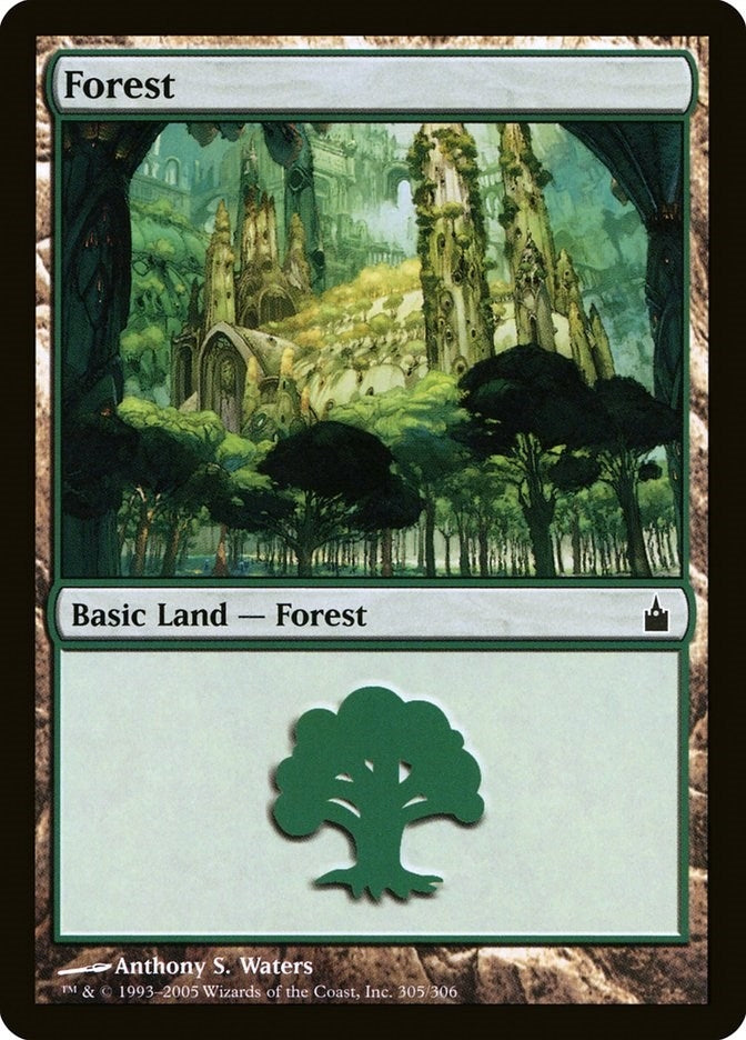 Image for Forest (305) (305) [Ravnica: City of Guilds]