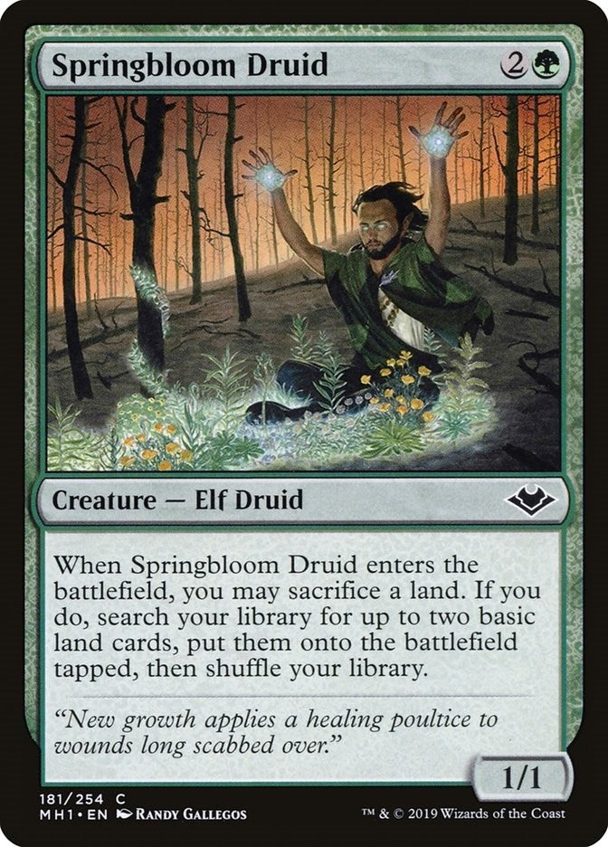 Image for Springbloom Druid (181) [Modern Horizons]