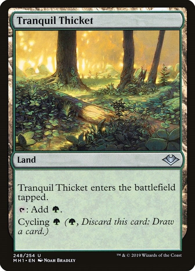 Image for Tranquil Thicket (248) [Modern Horizons]