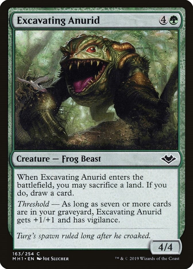 Image for Excavating Anurid (163) [Modern Horizons]