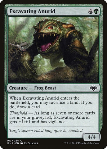 Image for Excavating Anurid (163) [Modern Horizons]