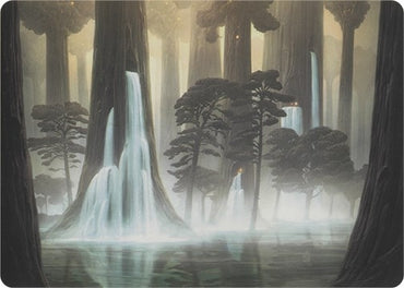Image for Waterlogged Grove (Art Series) (52) [Art Series: Modern Horizons]