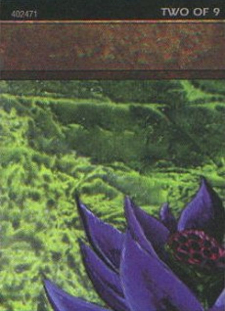 Image for Black Lotus (2 of 9) (Ultra Pro Puzzle Quest) (1) [Media Promos]