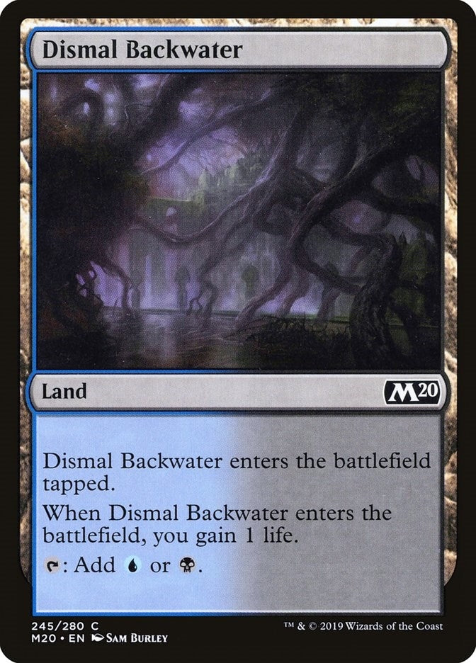 Image for Dismal Backwater (245) [Core Set 2020]