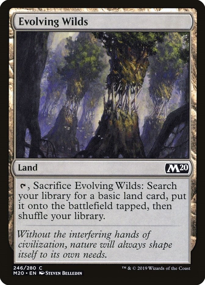 Image for Evolving Wilds (246) [Core Set 2020]