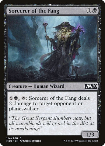 Image for Sorcerer of the Fang (114) [Core Set 2020]