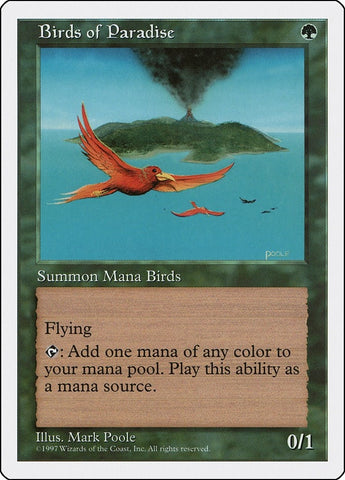 Image for Birds of Paradise (142) [Fifth Edition]