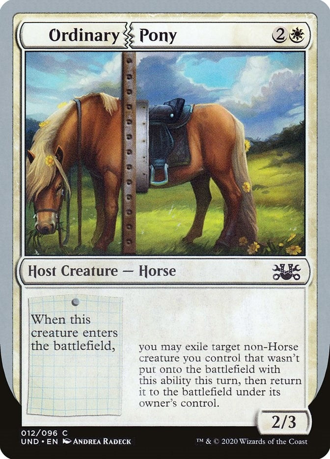 Image for Ordinary Pony (12) [Unsanctioned]