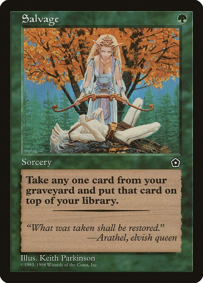 Image for Salvage [Portal Second Age]