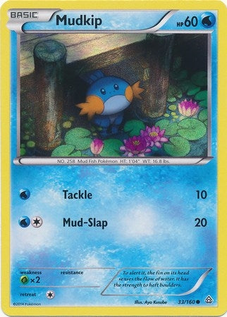 Mudkip - 33/160 (Sheen Holo) (033/160) (Miscellaneous Cards & Products)