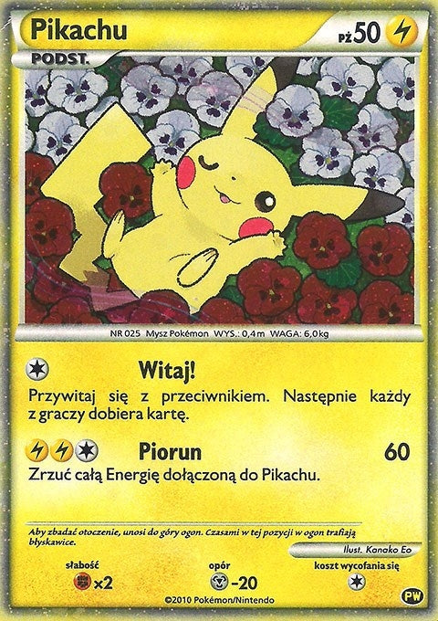 Image for Pikachu (Polish) (PW 8) [Pikachu World Collection Promos]