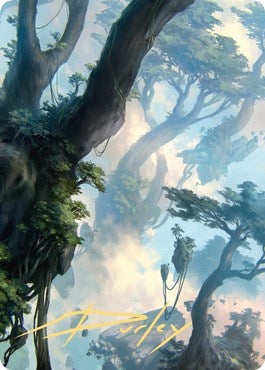 Image for Forest Art Card (19/81) (Gold-Stamped Signature) (19) [Art Series: Zendikar Rising]
