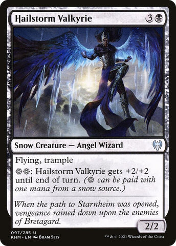 Image for Hailstorm Valkyrie (97) [Kaldheim]