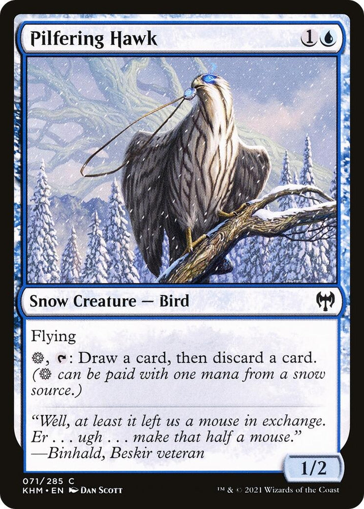 Image for Pilfering Hawk (71) [Kaldheim]