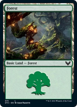 Image for Forest (375) (375) [Strixhaven: School of Mages]