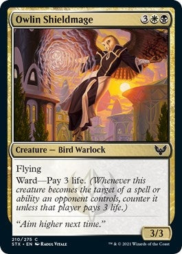 Image for Owlin Shieldmage (210) [Strixhaven: School of Mages]