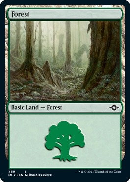 Image for Forest (489) (Foil Etched) (489) [Modern Horizons 2]