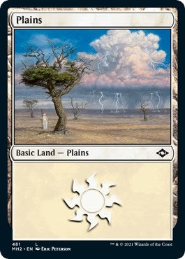 Image for Plains (481) (Foil Etched) (481) [Modern Horizons 2]