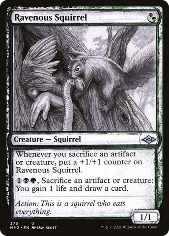 Image for Ravenous Squirrel (Showcase) (375) [Modern Horizons 2]