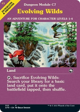 Image for Evolving Wilds (Dungeon Module) (353) (AFR)