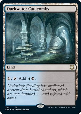 Image for Darkwater Catacombs (232) [Commander: Adventures in the Forgotten Realms]