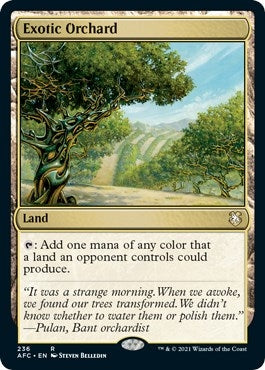 Image for Exotic Orchard (236) [Commander: Adventures in the Forgotten Realms]