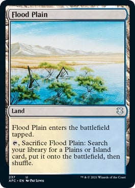 Image for Flood Plain (237) [Commander: Adventures in the Forgotten Realms]