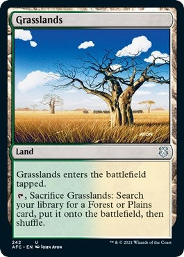 Image for Grasslands (242) [Commander: Adventures in the Forgotten Realms]